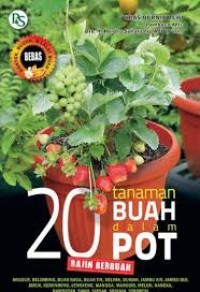 Image of 20 Tanaman Buah Dalam Pot