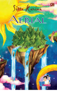 Image of Aerial
