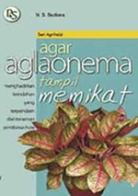 Image of Agar aglaonema tampil memikat
