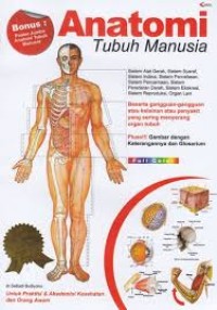 Image of Anatomi Tubuh Manusia