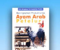 Image of Ayam arab petelur