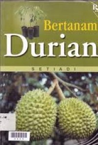 Image of Bertanam Durian