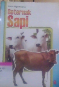 Image of beternak sapi