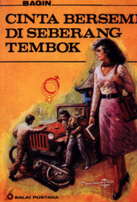 Image of cinta beresmi diseberang tembok