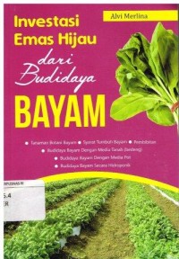 Image of Investasi Emas Hijau dari Budidaya Bayam
