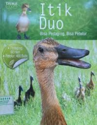 Image of Itik duo