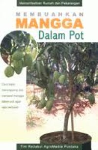 Image of Membuahkan Mangga Dalam Pot