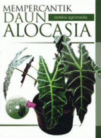 Image of Mempercantik Daun Alocasia