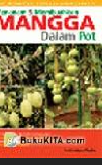 Image of Menanam & membuahkan Mangga Dalam Pot