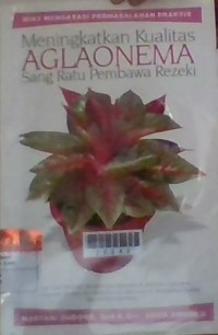 Image of Meningkatkan Kualitas Aglaonema Sang Ratu Pembawa Rezeki