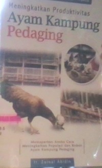 Image of Meningkatkan Produktivitas ayam kampung pedanging