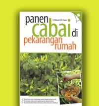Image of panen cabai di perkarangan rumah