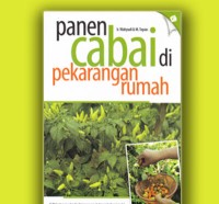 Image of Panen Cabai di perkarangan rumah