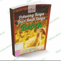 Image of Peluang Kaya Dari Budidaya Bebek