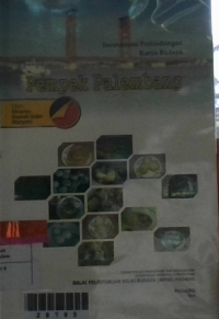 Image of pempek palembang