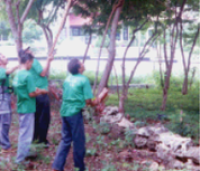Image of Pengolahan Benih Pohon