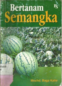 Image of Pertanaman Semangka