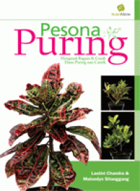 Image of Pesona Puring