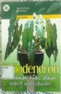 Image of Philodendron Tanaman Hias Daun yang Menawan