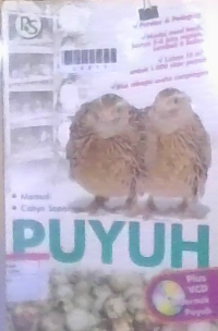 Image of puyuh