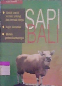 Image of Sapi Bali
