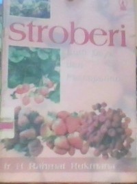 Image of Stroberi
