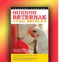 Image of sukses beternak ayam brolier