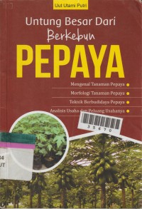 Image of Untung Besar Dari Berkebun Pepaya